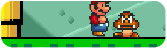 Super Flash Mario Bros