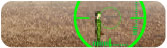 Tiny Combat 2